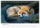Thumbnail-14