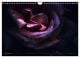 Thumbnail-14