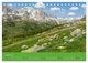 Thumbnail-10