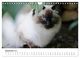 Thumbnail-14
