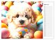 Thumbnail-9