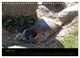 Thumbnail-10
