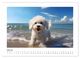 Thumbnail-12