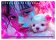 Thumbnail-14