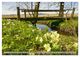 Thumbnail-9