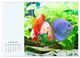 Thumbnail-4