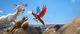 Thumbnail-8