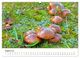 Thumbnail-12