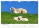 Thumbnail-14