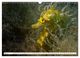 Thumbnail-10