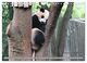 Thumbnail-12