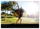 Thumbnail-8
