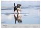 Thumbnail-10