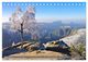Thumbnail-14