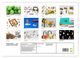 Thumbnail-4