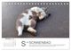 Thumbnail-12