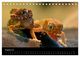 Thumbnail-10