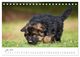 Thumbnail-9