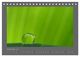Thumbnail-11