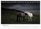 Thumbnail-14