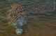 Thumbnail-9