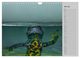 Thumbnail-9