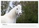 Thumbnail-12