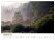 Thumbnail-11
