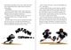 Thumbnail-4