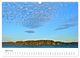 Thumbnail-9