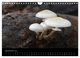 Thumbnail-11