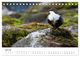 Thumbnail-12