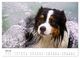 Thumbnail-11