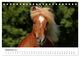 Thumbnail-14