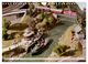 Thumbnail-10