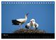 Thumbnail-10