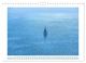 Thumbnail-14