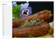 Thumbnail-9