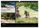 Thumbnail-12