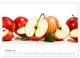 Thumbnail-12