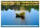 Thumbnail-10