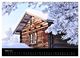 Thumbnail-8