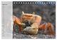 Thumbnail-9
