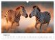 Thumbnail-10