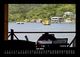 Thumbnail-11