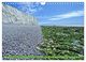 Thumbnail-10