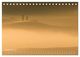 Thumbnail-13
