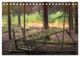 Thumbnail-13