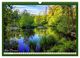 Thumbnail-11
