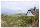 Thumbnail-11